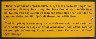 Agent-Orange-Opfer Korea-Veteran, Text: Der ausgetrocknete K�rper wurde zur Mumie... ich wundere mich, ob ich wirklich mal ein Krieger war, der unter Feuerbeschuss an den Frontlinien durch den Dschungel rannte, als ich noch kr�ftig und mutig war. Koreanischer Veteran aus dem Vietnamkrieg, Agent-Orange-Opfer