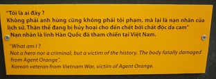 Agent-Orange-Opfer Korea-Veteran, Text: "Was bin ich? Kein Held, nur ein Krimineller, aber ein Opfer der Geschichte. Der K�rper ist schwer durch Agent Orange gesch�digt." Koreanischer Veteran vom Vietnamkrieg, Agent-Orange-Opfer