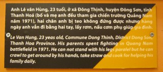 Agent-Orange-Opfer, Text: Le Van Hung (23) ist aus der Gemeinde Dong Thinh, Distrikt Dong Son, Provinz Thanh Hoa. Seine Eltern haben 1971 auf dem Schlachtfeld von Quang Nam gek�mpft. Er kann nicht aufrecht stehen, kann seine Beine niciht parallel halten, sondern er muss immer auf allen Vieren gehen. Hier holt er Stroh, und t�glich hilft er seiner Familie beim Kochen.