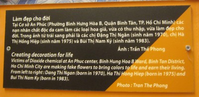Drei Agent-Orange-Opfer machen Kunsthandwerk, Dang Thi Ngan, Ha Thi Hong Hiep, Bui Thi Nam Ky - Text: Sie fabrizieren ein Leben lang Kunsthandwerk Dioxin-Chemie-Opfer am Zentrum "An Phuc", Stadtteil Bin Hung Hoa B, Distrikt Binh Tan, Saigon (Ho Chi Minh City). Sie machen Blumen, um Farbe ins Leben zu bringen und ihren Lebensunterhalt zu verdienen. Von links nach rechts: Dang Thi Ngan (geboren 1970), Ha Thi Hong Hiep (geboren 1975), und Bui Thi Nam Ky (geboren 1983).