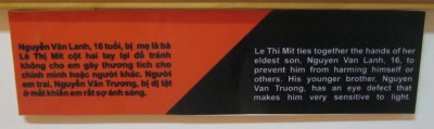 Agent-Orange-Opfer Le Thi Mit, Text: Le Thi Mit h�lt sich an den H�nden seines �lteren Bruders, Nguyen Van Lanh (16), um ihn zu hindern, dass er sich selbst oder anderen Schaden zuf�gt. Sein j�ngerer Bruder, Nguyen Van Truong, hat einen Augenschaden, und gegen�ber Licht ist er deswegen sehr sensibel.