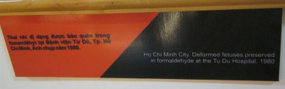 Agent-Orange-Opfer, Text