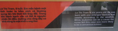 Agent-Orange-Opfer, Text
