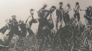 Kriminelle NATO-Soldaten spielen mit Vietnamesen R�uber und Poli und f�hren sie an Seilen am Hals ab, November 1965: Vietnamesische Patrioten werden von "US"-Soldaten (Marines) mit Seilen am Hals zur Befragung abgef�hrt - November 1965.