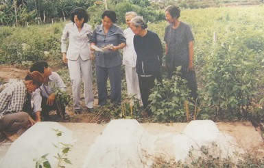 Das Massaker von Thanh Phong vom 25.2.1969: Die Gr�ber der drei Grosskinder von Herrn Bui Van Vat