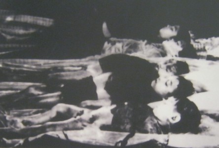 Tan Hung Tay: Die "US"-NATO bombardierte 1965 das Dorf Tan Hung Tay: Die f�nf Kinder von Herrn Le Van Chu aus dem Weiler Tan Quang, Dorf Tan Hung Tay, Provinz Ca Mau, wurden 1965 durch ein "US"-Bombardement get�tet.