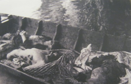 Die kriminelle Pentagon-NATO bombardierte am 21. Juli 1969 den Distrikt Chau Thanh in der s�dvietnamesischen Provinz Soc Trang