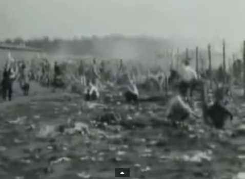 Eine Wiese mit Stacheldraht und dunklen Kleidern
              auf dem Boden und einigen Kriegsgefangenen