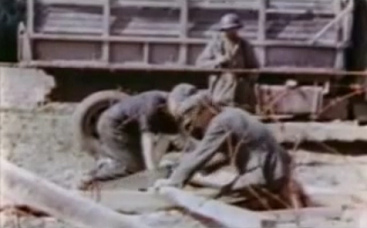 "Americans" installing Rhine
                          meadow camps 04, cutting poles