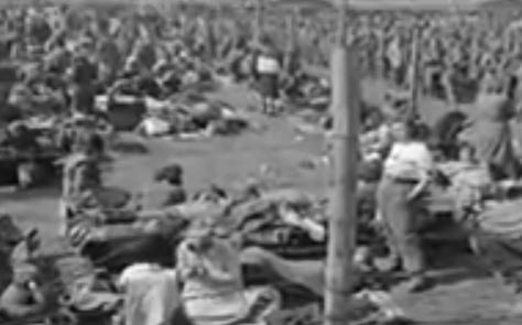 Rhine meadow camps in summer, German women
                        prisoners of war in the sun on the earth, no
                        dens