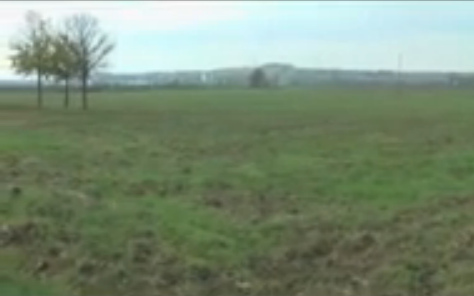 Rhine meadow camp of Bretzenheim,
                              landscape with hill in the background 02
                              (27min.10sec.)