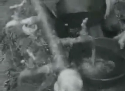 Water supply in the camp (11min.
                              33sec.)