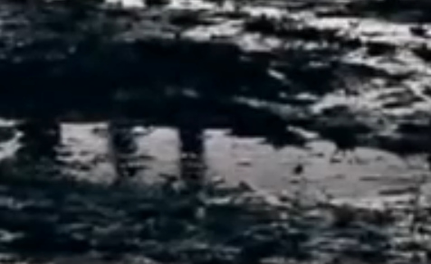 Campos del prado del Rin en primavera
                          1945, pozas con nieve y lluvia 01