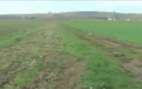 Campo del prado del Rin en Bretzenheim,
                          territorio con colinas al fondo (26min.
                          2seg.)