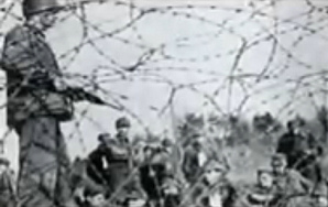 Ein "Ami"-Soldat
                                    bewacht in einem Rheinwiesenlager
                                    Deutsche in einem Käfig hinter
                                    Stacheldraht