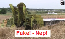 MH17: Der Flugzeugabsturz in der Ost-Ukraine
                    ist gef�lscht, die Tr�mmer sind hingelegt, ohne
                    Einsturzkrater
