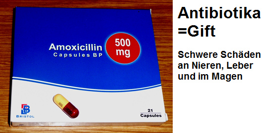 Antibiotika sind Gift
                          mit schweren Nebenwirkungen bei Nieren, Leber
                          und im Magen