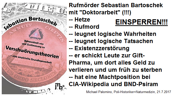 Die Verschw�rungs-Doktorarbeit
                von Pseudo-Dr. Rufm�rder Sebastian Bartoschek