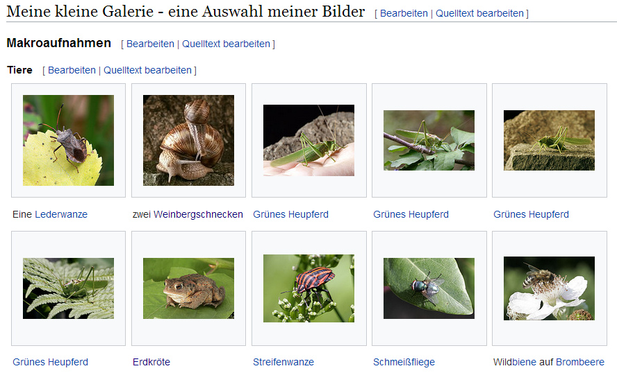 Armin Kübelbeck, seine Fotogalerie auf
                  Mossad-Wikipedia, ein paar Fotos aus der Tierwelt