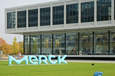 Darmstadt: MERCK-Logo im
                                    naiv-kindlichen Comic-Stil