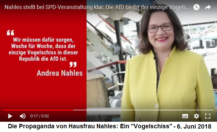 Die Propaganda von Hausfrau Nahles w�hrend
              einer "Spargelfahrt" des Seeheimer Kreises auf
              dem Wannsee in Berlin: Ein "Vogelschiss" - 6.
              Juni 2018