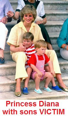 Princess Diana, VICTIM, with her
                                sons