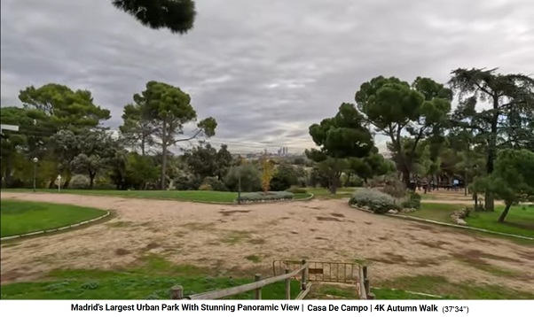 Parque
                  "Casa de Campo" 05: caminos, c�sped, �rboles
                  y un peque�o panorama