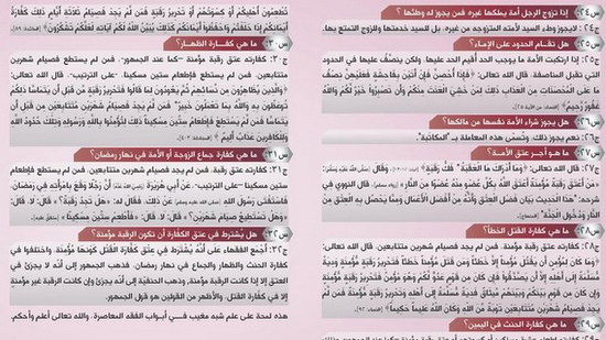 Dokument des
                        Islamischen Staats (IS): Kindersex ist erlaubt,
                        wenn das Mdchen dafr "geeignet" ist