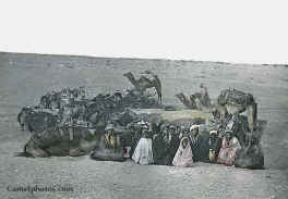 Bedouins: rest in an oval order