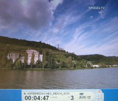 Neckarzimmern: Berghang am Neckar