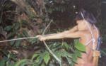 Indio-Ureinwohner mit Pfeilbogen auf
                              der Jagd
