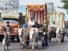 Bombay / Mumbai Kuh - Velo
                        - Fahrrad - Auto / cow - bicycle - car / vache -
                        bicyclette - auto / vacca - bicicletta - carro