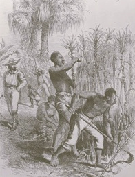 Sklaverei in den Neu-England-Kolonien,
              Zuckerplantage