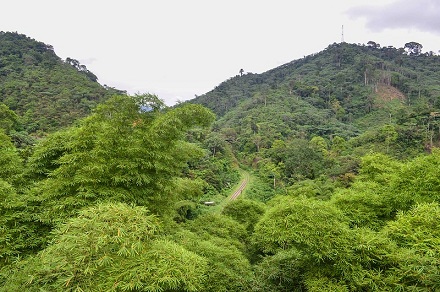 Mayombe (franco-congolais) : Jungle
                      montagneuse avec la ligne de chemin de fer