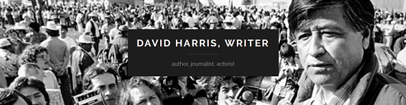 David
                            Harris online, Logo