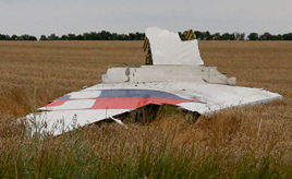 Ein Trümmerteil des Flugs MH17
                in der Ukraine 2014: Schön hingelegt, OHNE Falltrichter,
                OHNE ein Stäubchen drauf (!)