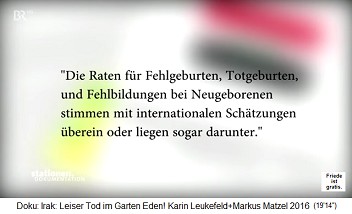 Die kriminelle IL-UNO-NWO behauptet, die Rate an Fehlbildungen bei Babys im Irak sei seit 1991 gleich geblieben oder l�ge sogar darunter