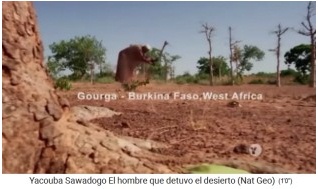 Zeitbombe Verwüstung kann man
              überwinden, Wald pflanzen mit Yacouba Sadabogo mit der
              Zai-Technik in Gourga, Burkina Faso
