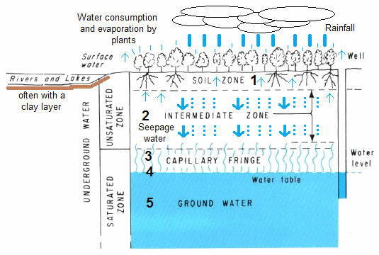 Stratification of the ground
                                    with soil zone (stratum),
                                    intermediate zone (seepage layer),
                                    capillary fringe (saturated zone),
                                    and groundwater
