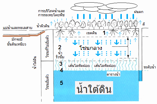 จำนวนโครงการที่ 2:
                                    ชั้นของพื้นดินที่มีดินโซน (ชั้น),
                                    โซนกลาง (ชั้นซึม) ริมเส้นโลหิตฝอย
                                    (อิ่มตัวโซน) และน้ำใต้ดิน