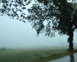 Strong rain with
                          field