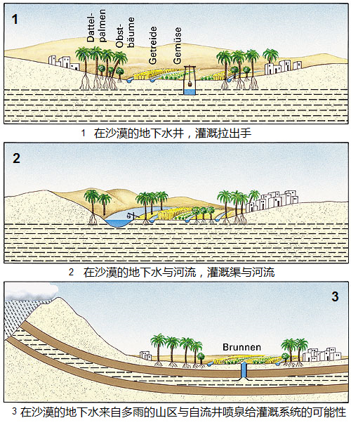 计划5：沙漠中的绿洲，地下水[10]