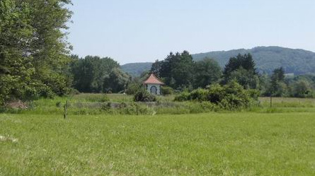 Intact natural
                              meadow where groundwater protected areas
                              are in Riehen