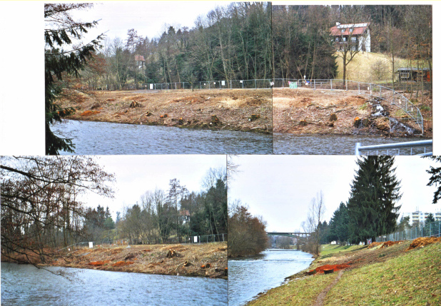 Bau der
                                kriminellen Zollfreistrasse mit der
                                Zerstörung des Landschaftsschutzgebietes
                                von Riehen