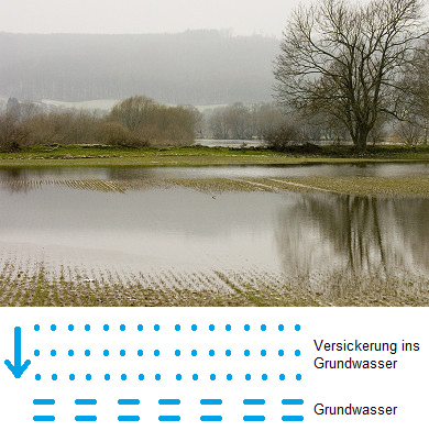 Überschwemmte Wiesen nach einem
                              Hochwasser in Deutschland [44], mit der
                              Darstellung der Grundwasserversickerung