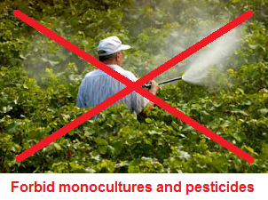 Monocultures and
                              spraying of pesticides must be forbidden