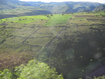 Felder mit Mäuerchen zwischen
                                  Ayacucho und Andahuaylas in den Anden
                                  von Peru
