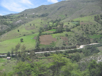 在秘鲁安第斯山脉的阿
                                  亚库乔和安达韦拉斯之间的树木和灌木行字段限制