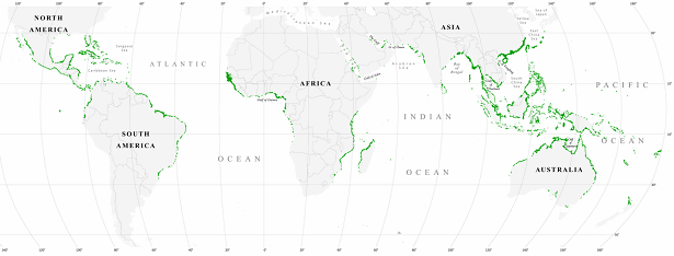 Weltkarte der
                                        Mangrovenwälder vom Jahre 2000