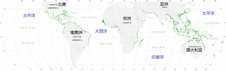 世界地图与2000年的红树林